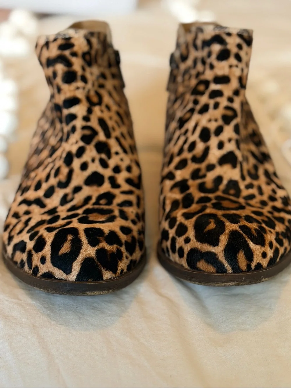 Lucky Brand leopard print